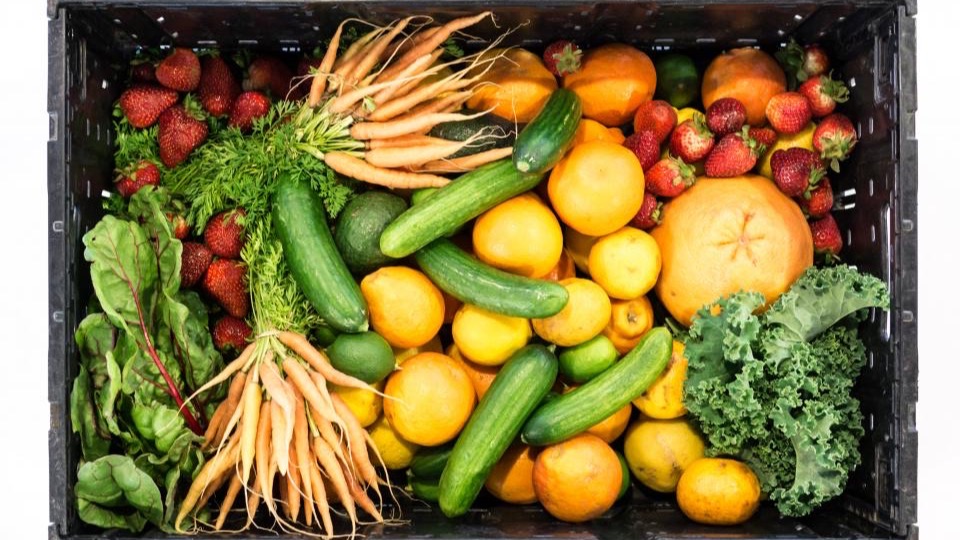 A crate of fresh produce: carrots, cucumbers, strawberries, oranges, kale and chard